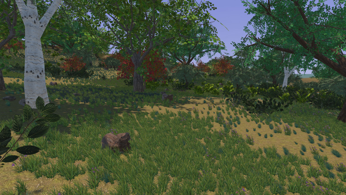 Runtime World Generation
