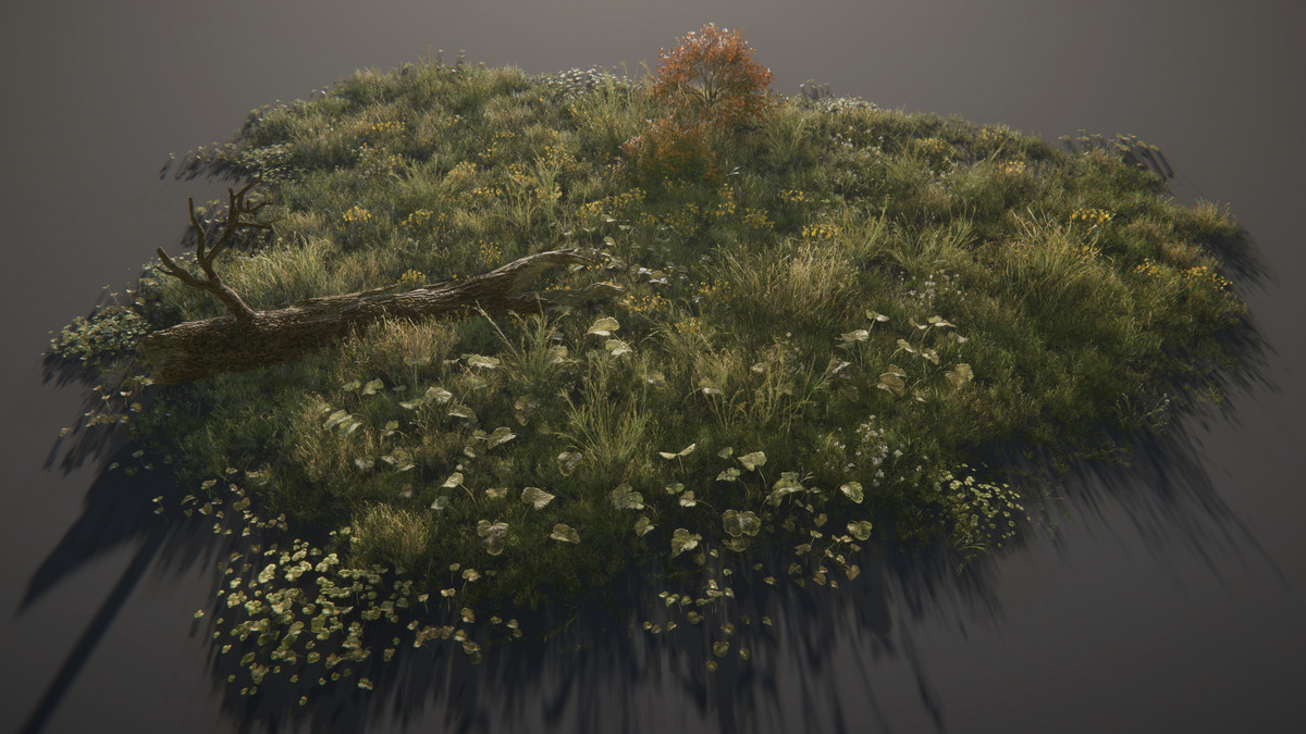 Tobyfredson - Nature Collection