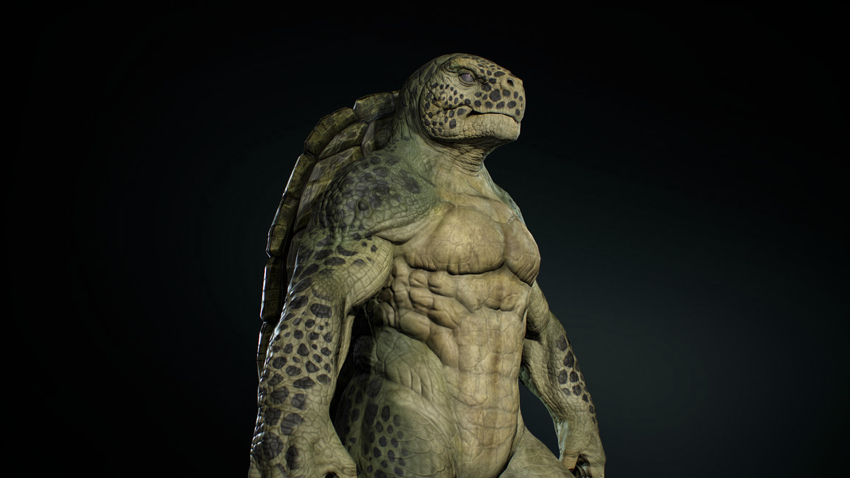 Turtle Humanoid