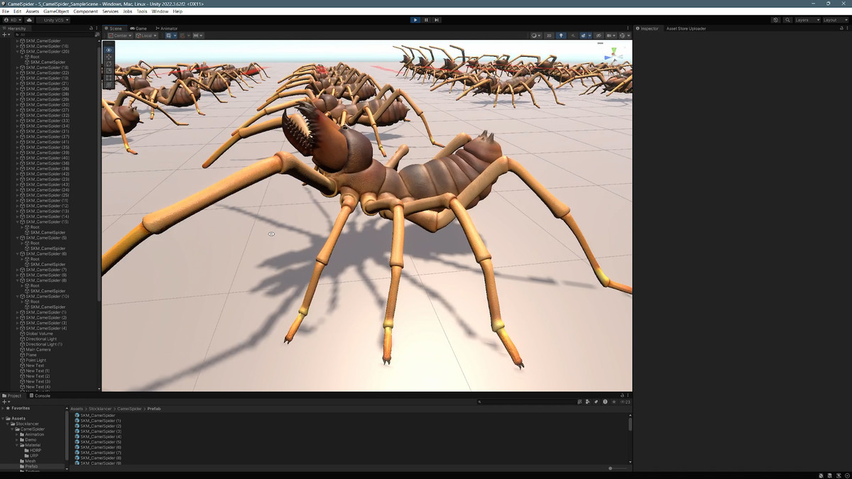 Solifugae Camel Spider, animated and modular monster insect with skins & shader.