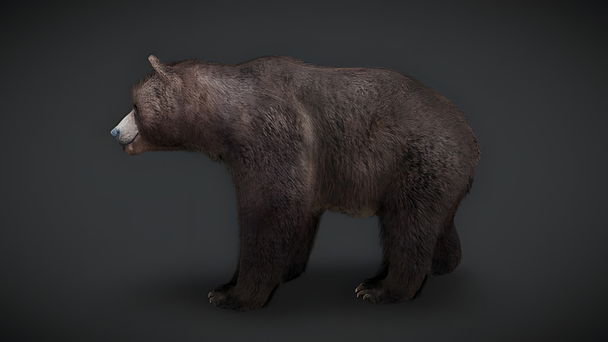 WILDPOLY - Animated Animals – Realistic Pack