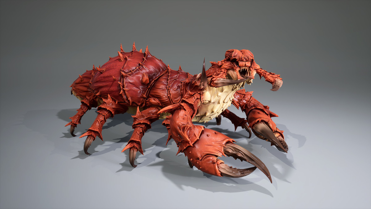 Insect