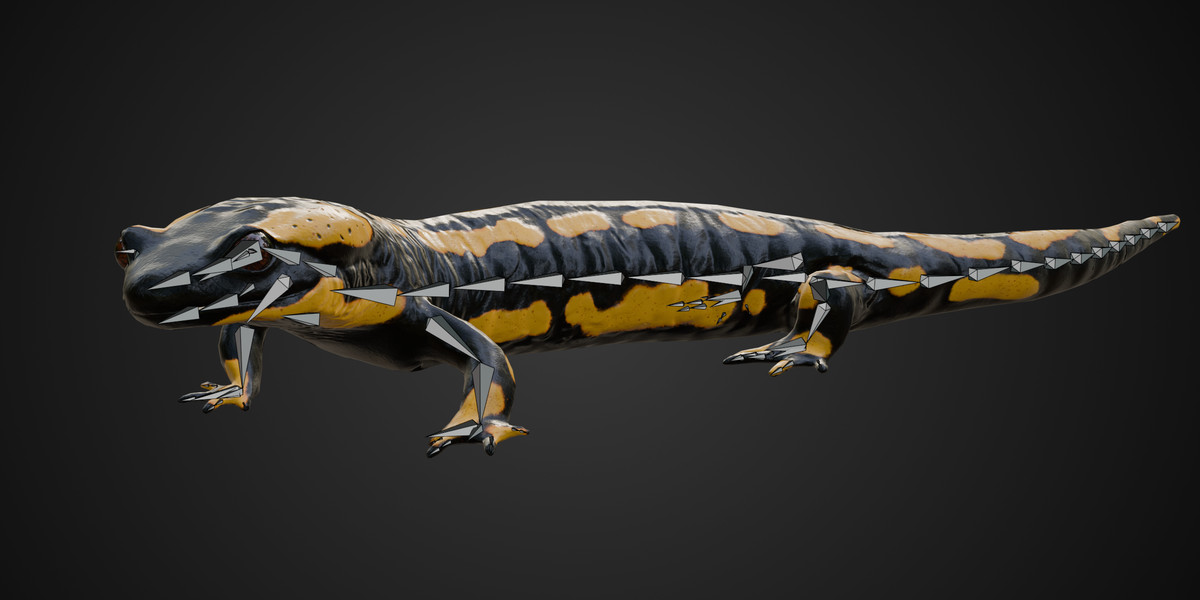 Animated Salamander