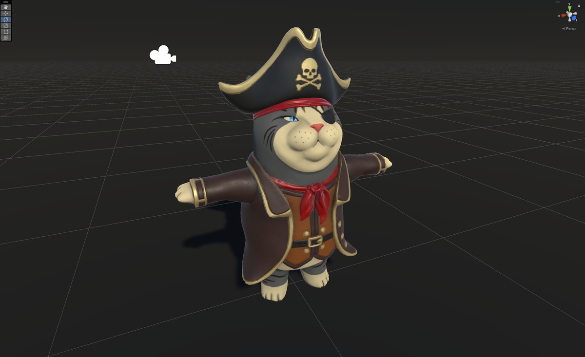 Cat Pirate