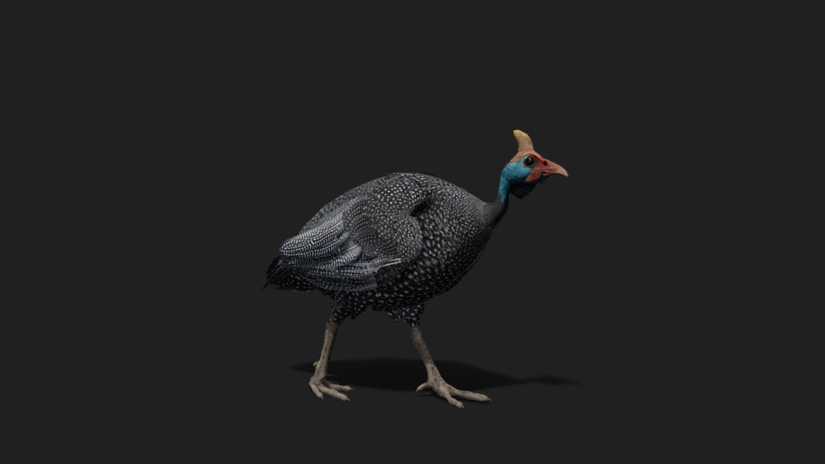 WILDPOLY - Animated Animals – Realistic Pack