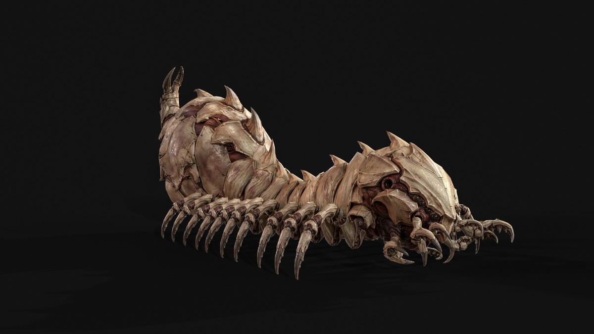 Broodmother Centipede Queen