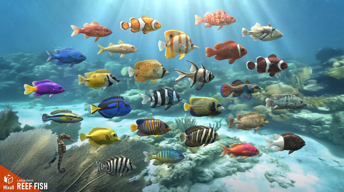 150 Sea fish - Full pack