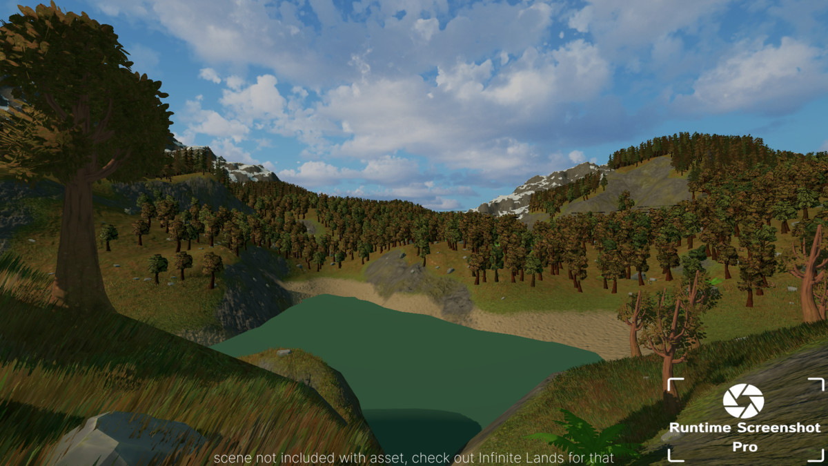 Runtime Screenshot Pro
