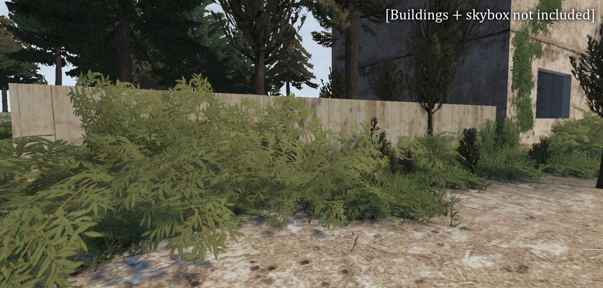 Common Forest | Stylized Nature