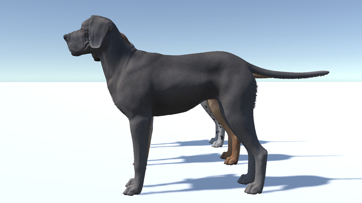 Dog - Great Dane