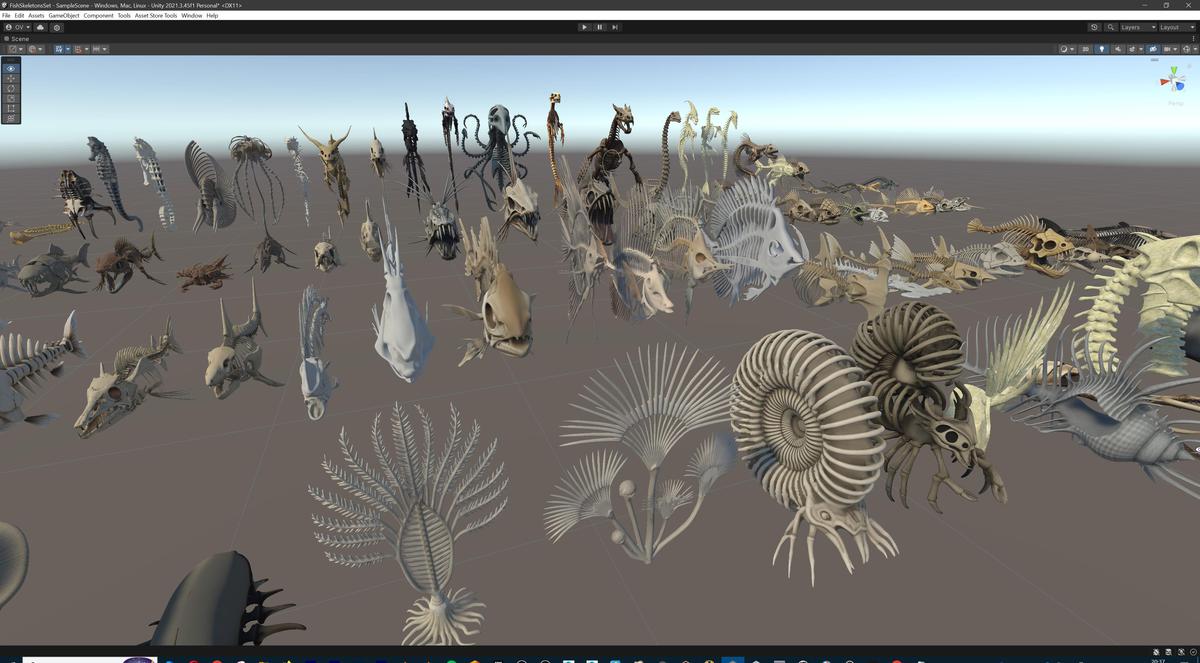 Fish and Underwater Creatures Skeleton Collection – Marine Bone 3D Asset Pack