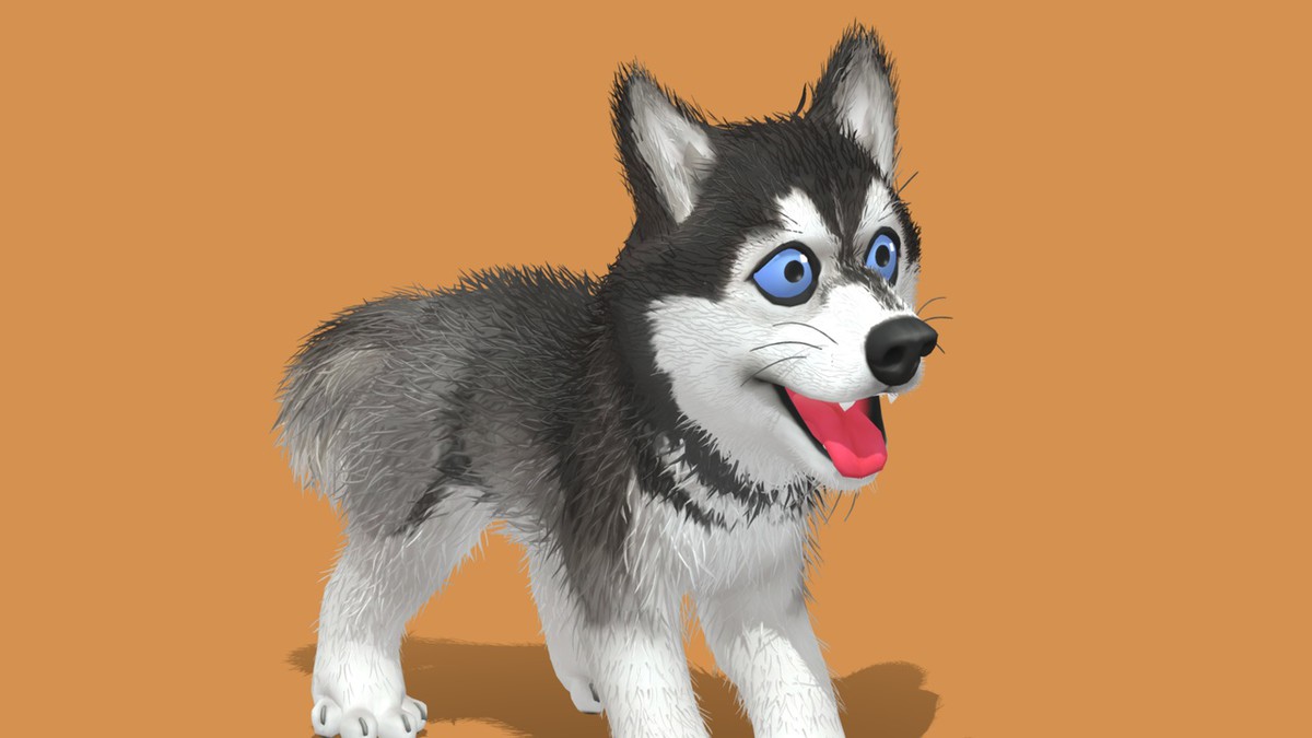 Cute Dog - Husky