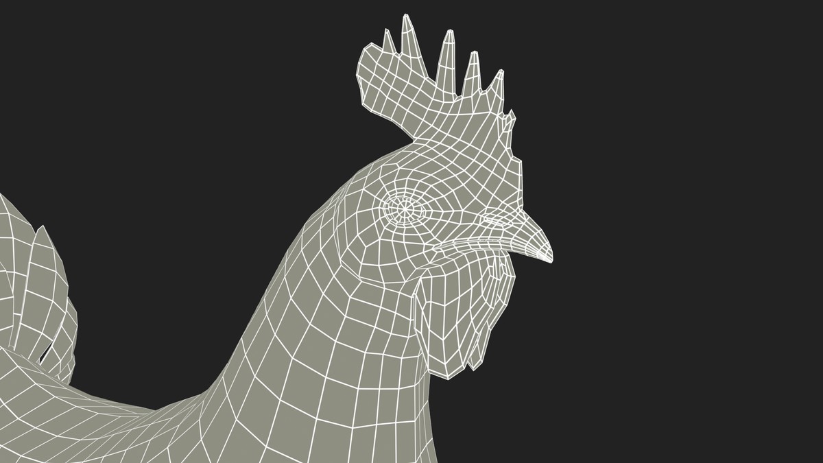 Rooster Animated