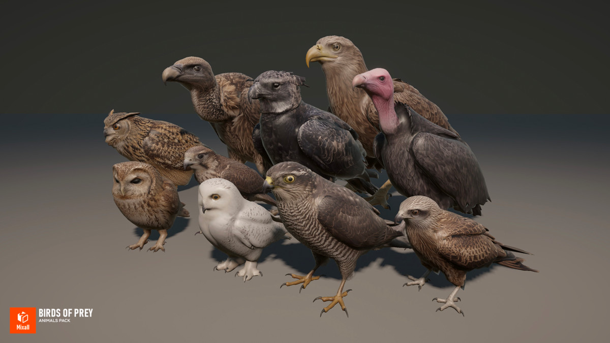 60 Birds - Full Animals Pack