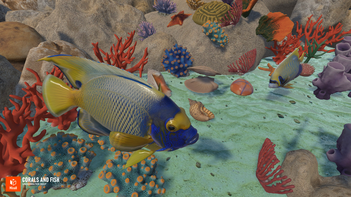 Corals and fish - underwater reef
