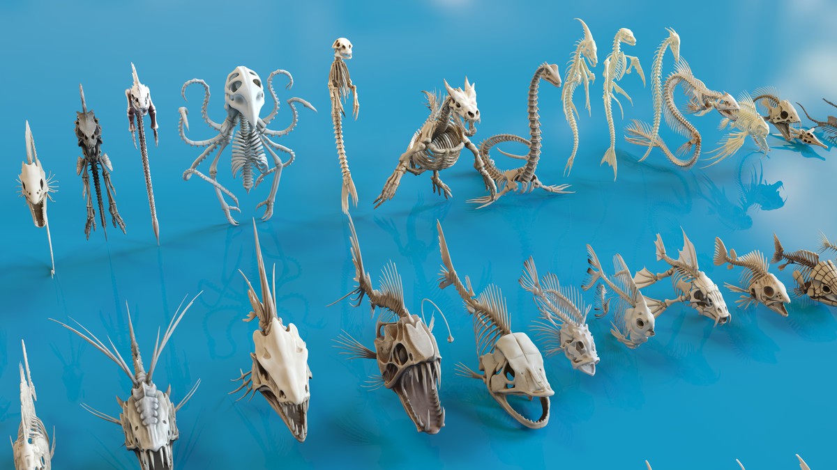 Fish and Underwater Creatures Skeleton Collection – Marine Bone 3D Asset Pack