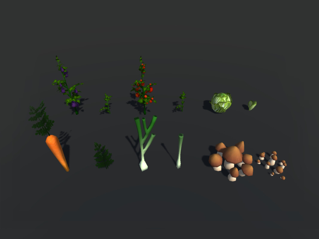 Village Life-Market and Garden