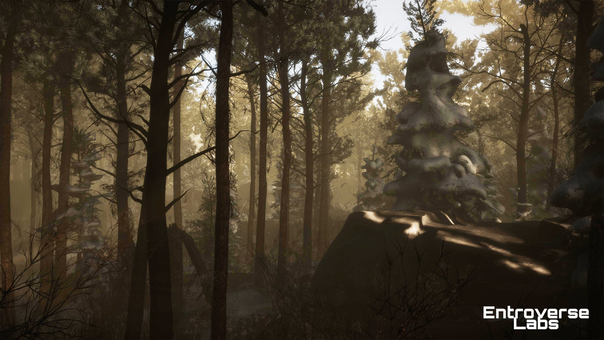 Taiga Biome Environment / Boreal Tundra Forest