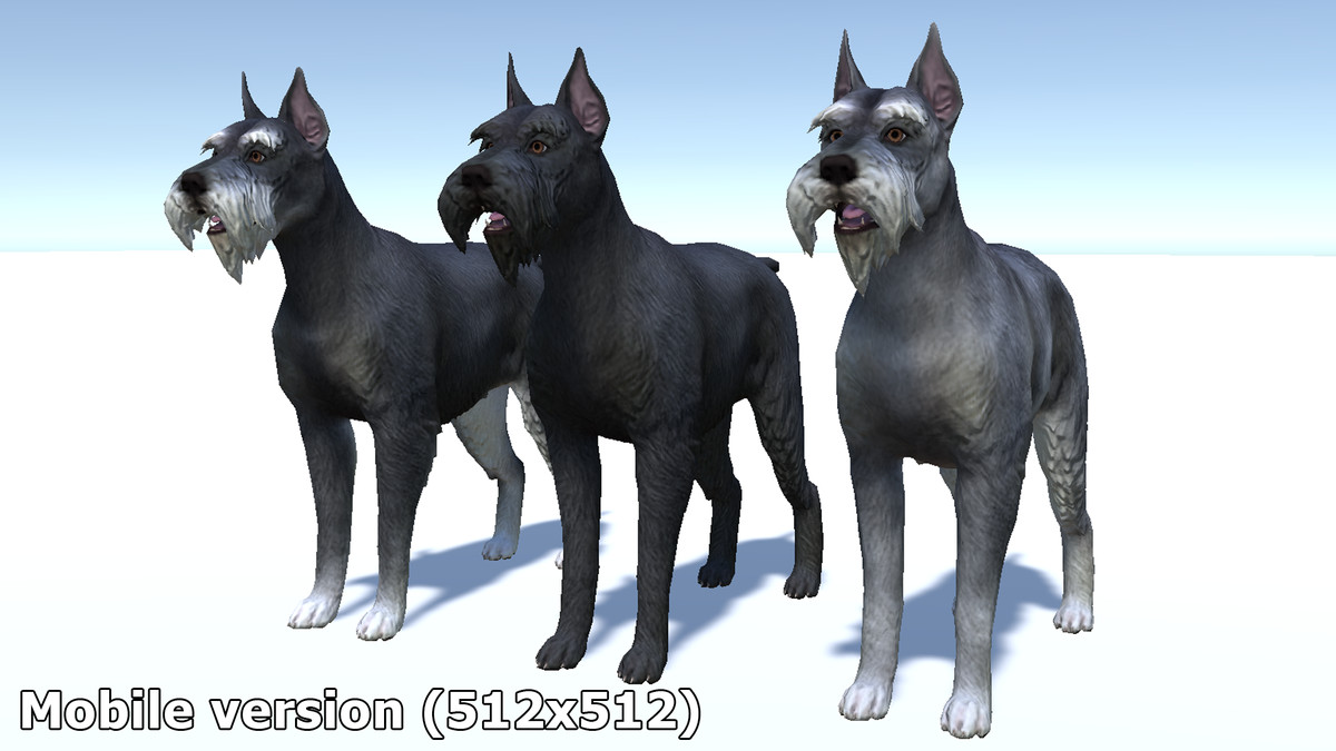 Dog - Schnauzer