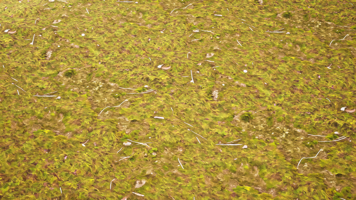 Stylized Materials - Moss 1