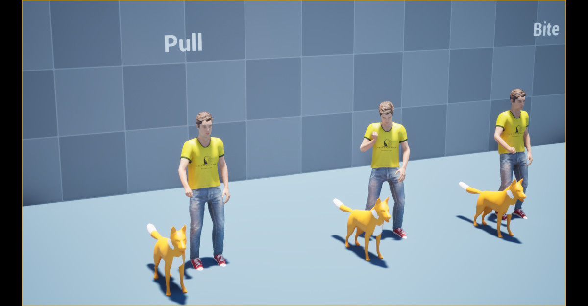 Dog Command Animation