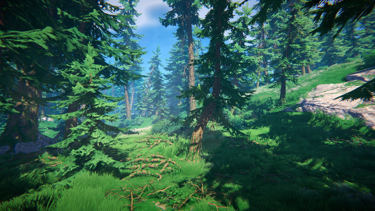 Adventure Nature Vol.7 Spruce Forest