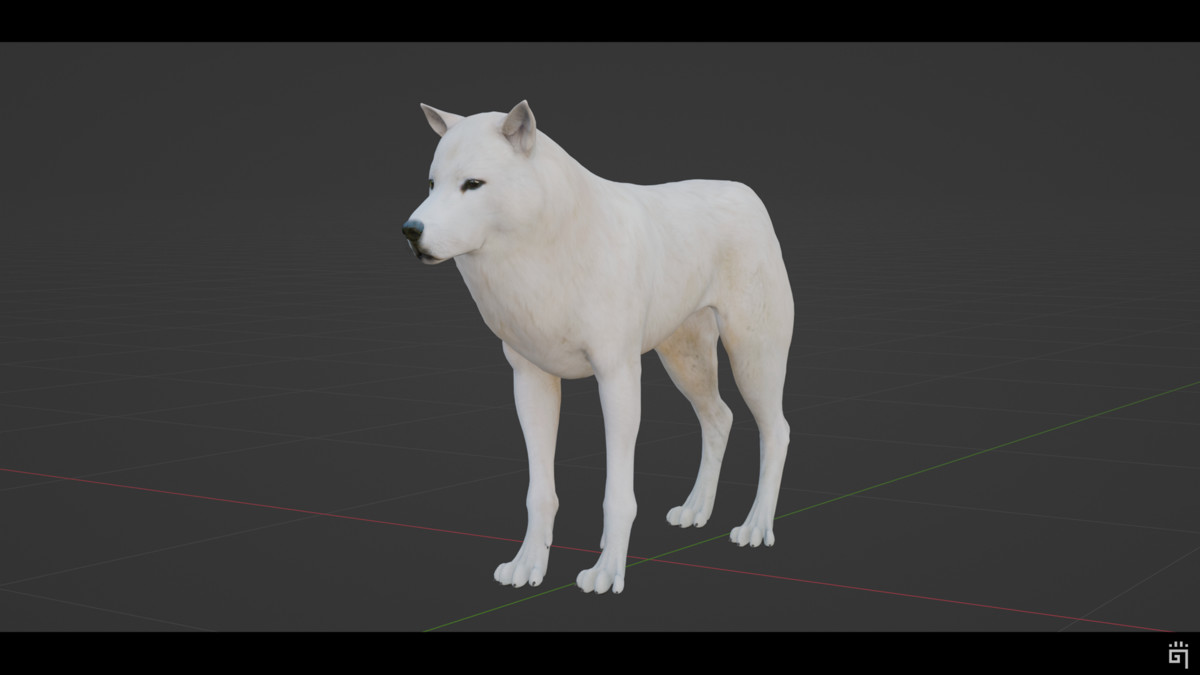 Arctic Wolf (AnimalDev)