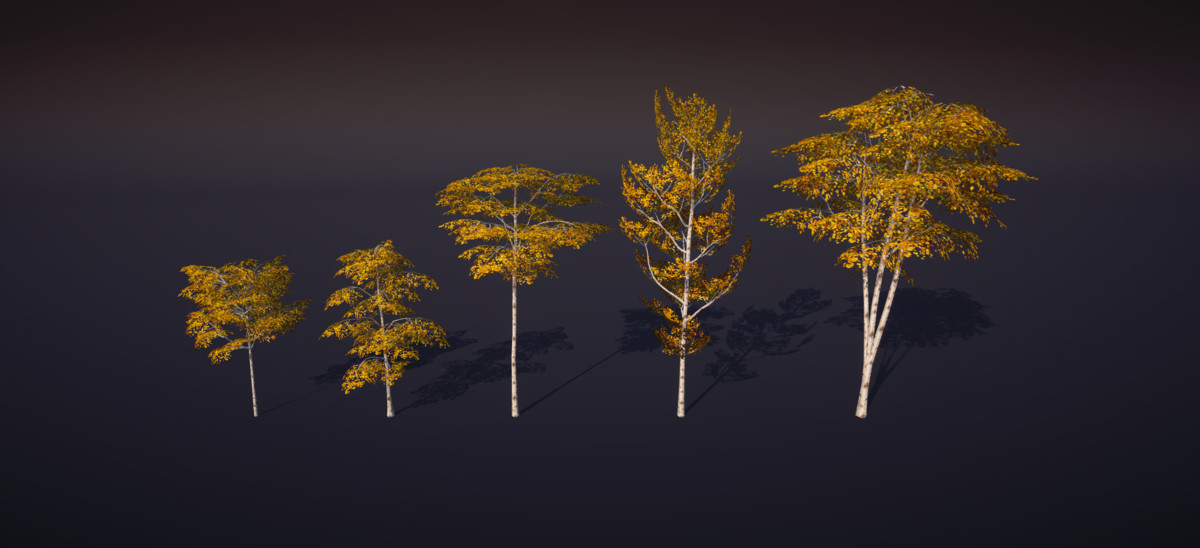 Low-Poly Birch Tree Pack - Multi-Season