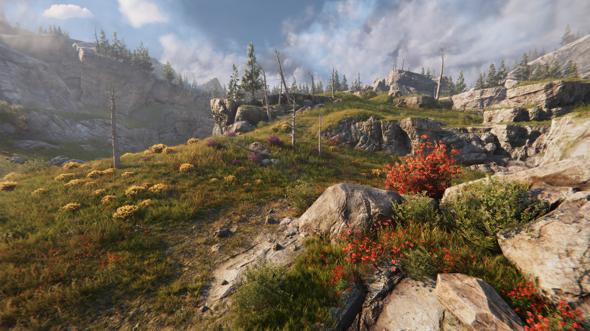 Tobyfredson - Nature Collection