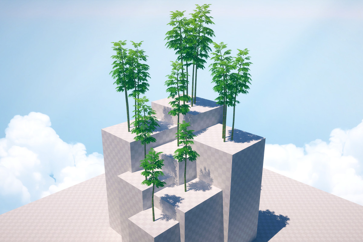 Komorebi Nature