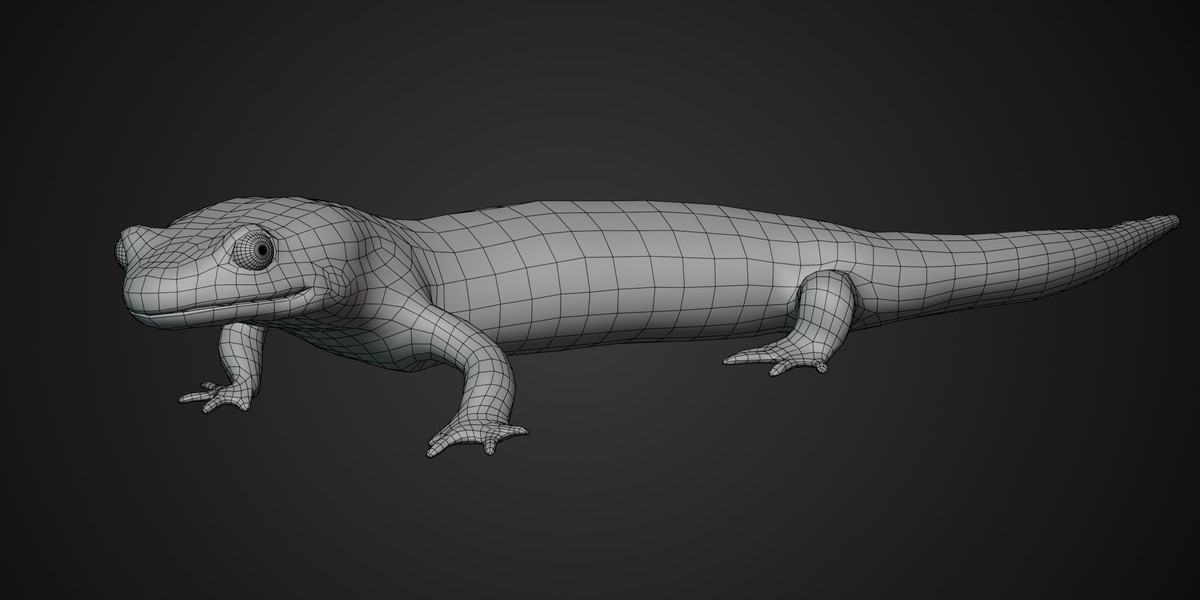 Animated Salamander