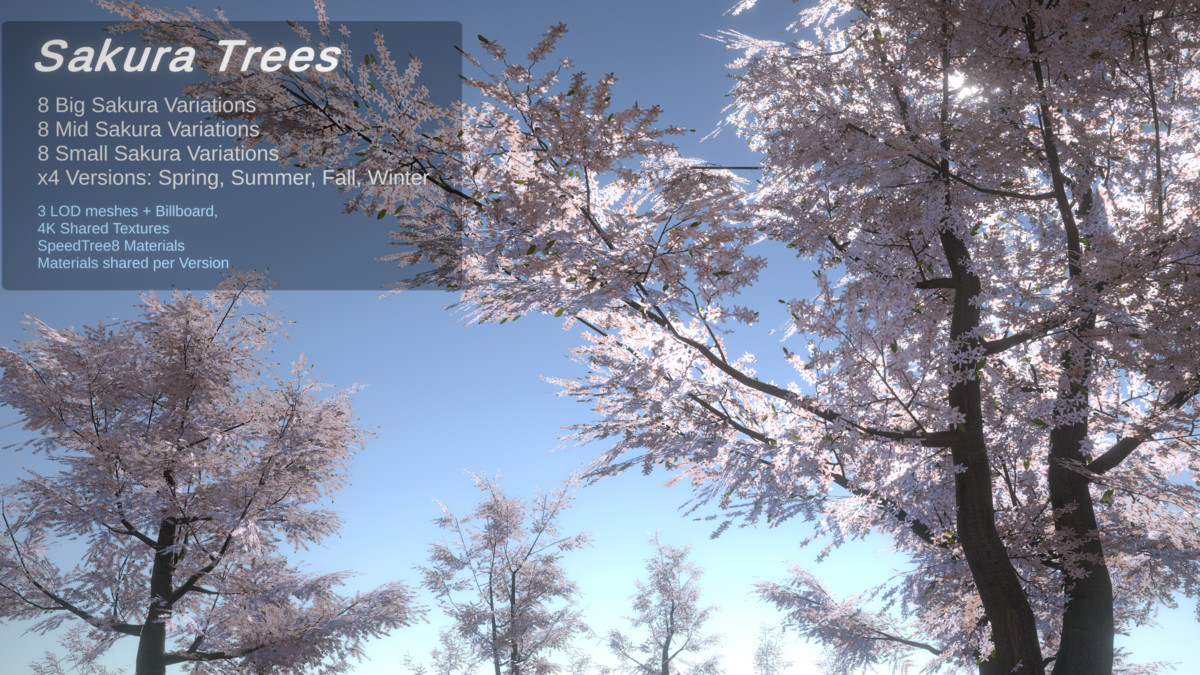 Japanese Garden 2