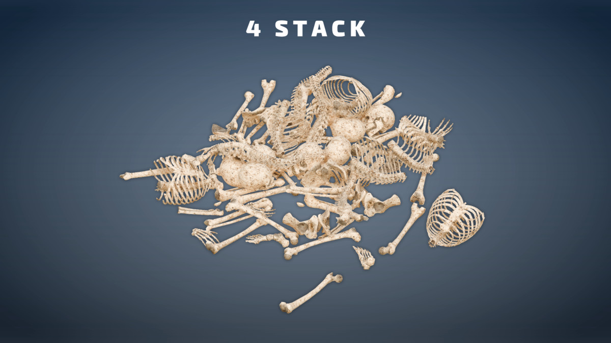 Skeleton Pack