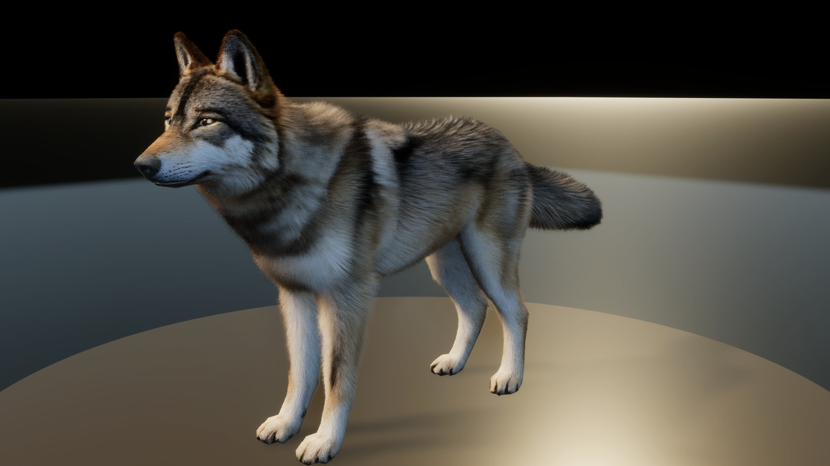 Forest Predators Collection - Realistic Animated Animals