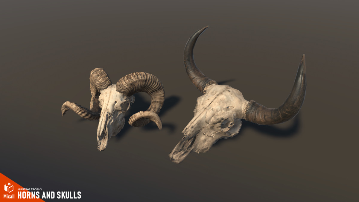 55 Hunting Trophy - Full pack