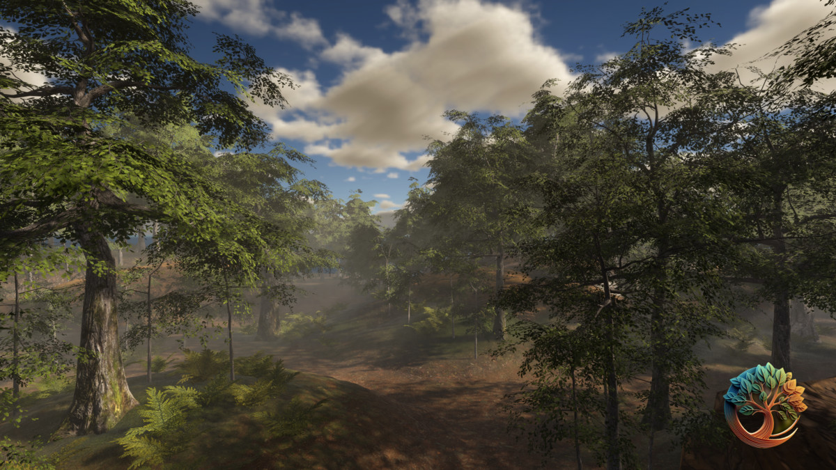 Broadleaf Forest