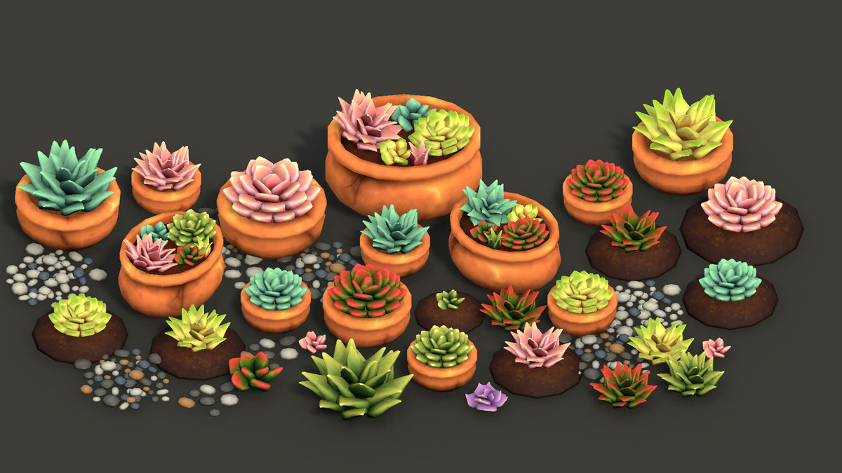 Nature Necessities - Stylized Succulents