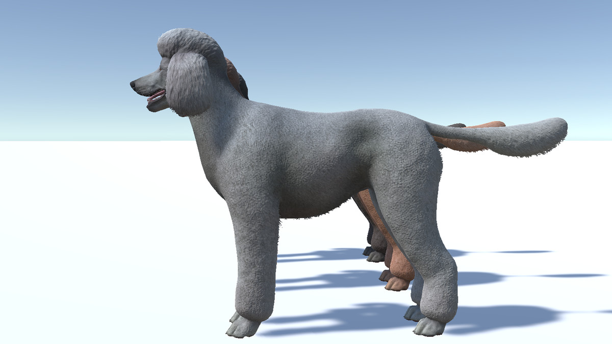 Dog - Poodle