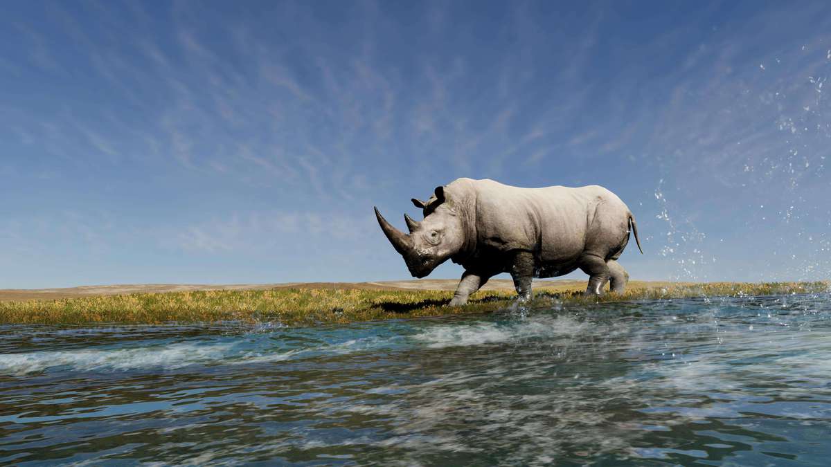 Realistic African Rhinoceros