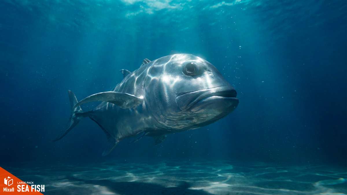 Sea fish - large pack