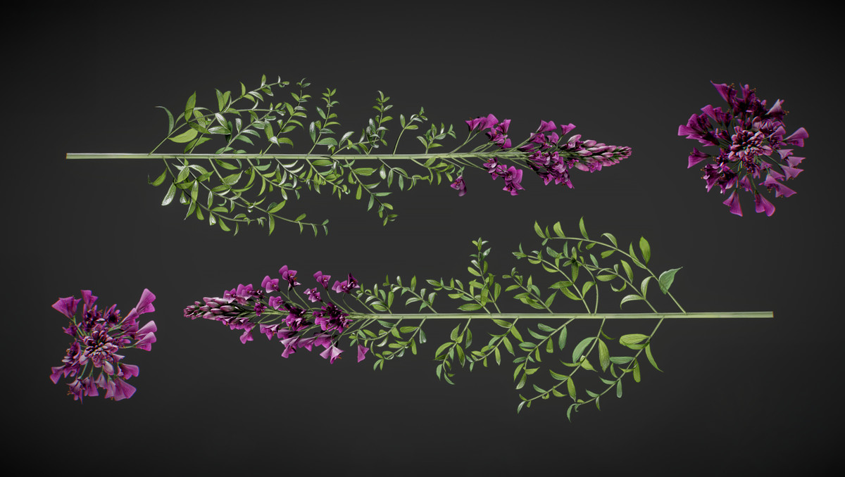 Juniper Pack - Toby Foliage Engine Assets