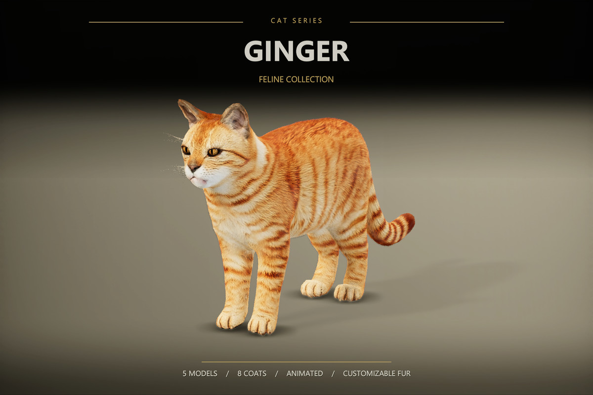 Feline Collection – Realistic Animated Cats with Customizable Fur