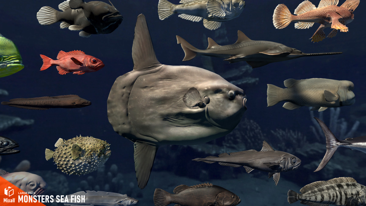 Monsters sea fish - large pack