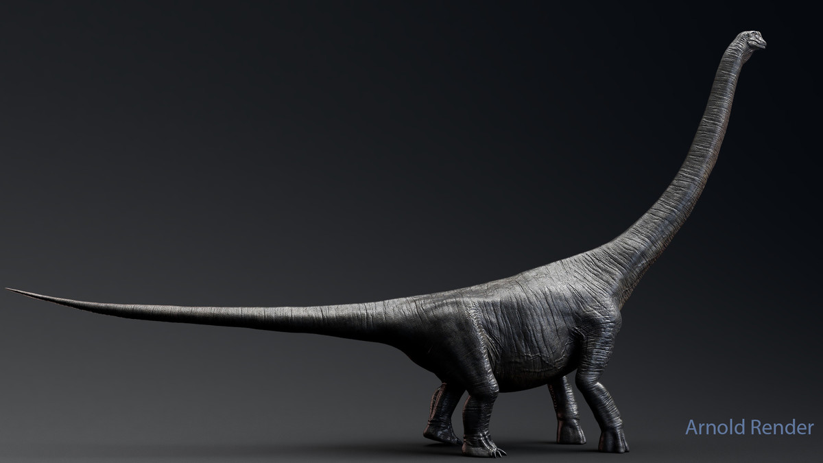 Dinosaur Argentinosaurus Sauropod