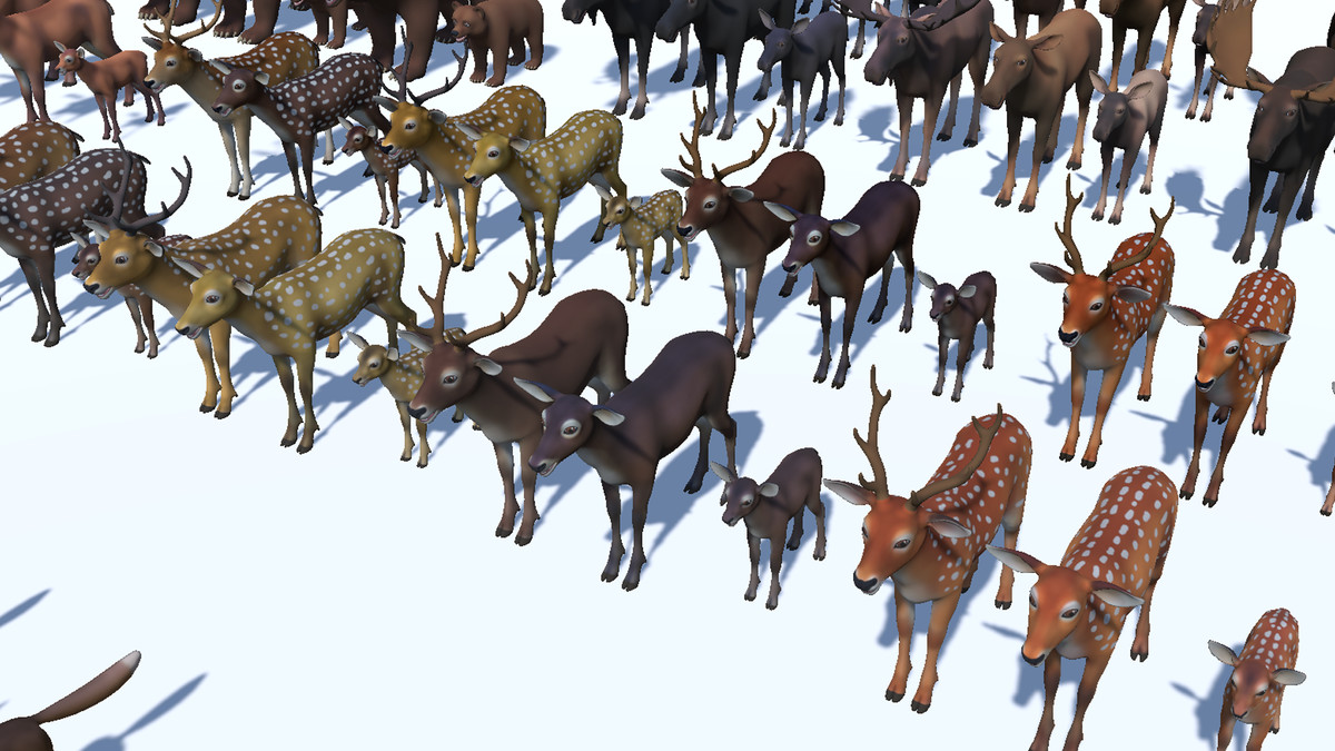 Cartoon Wild Animals