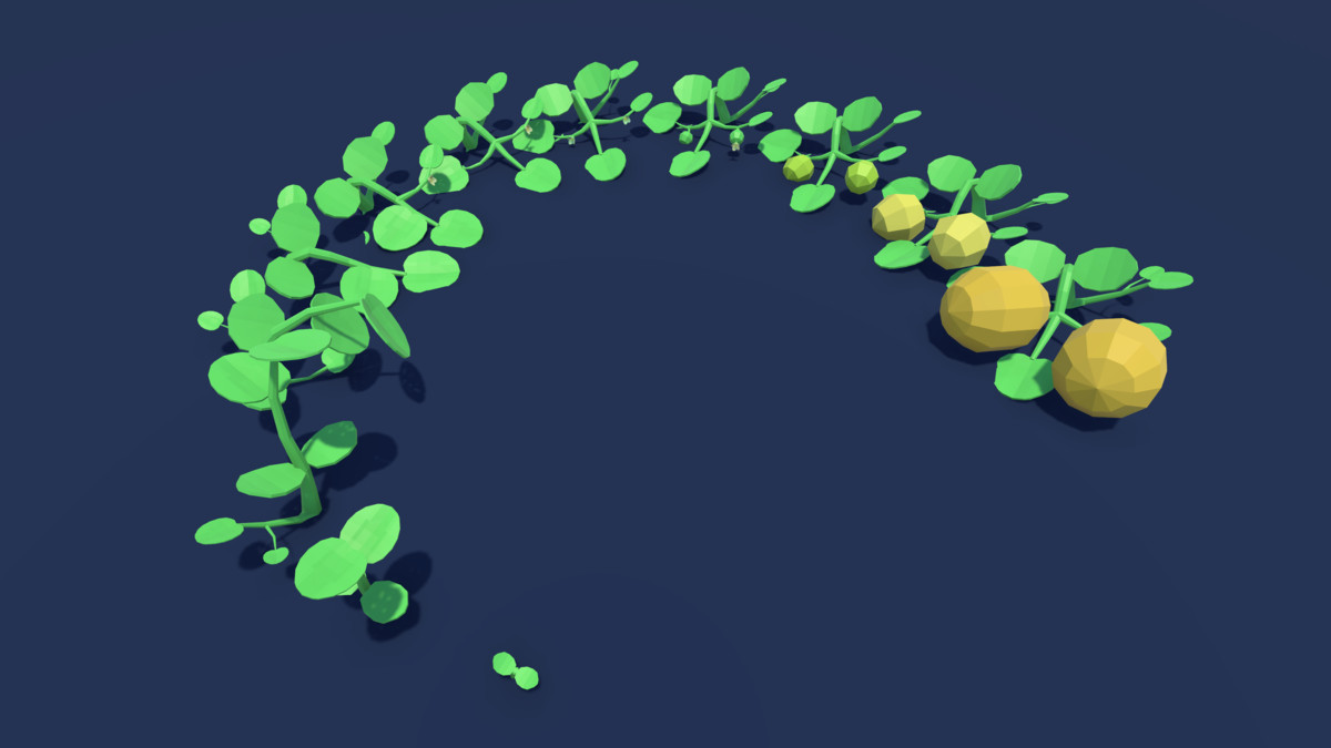 3D Lowpoly Grows Plants