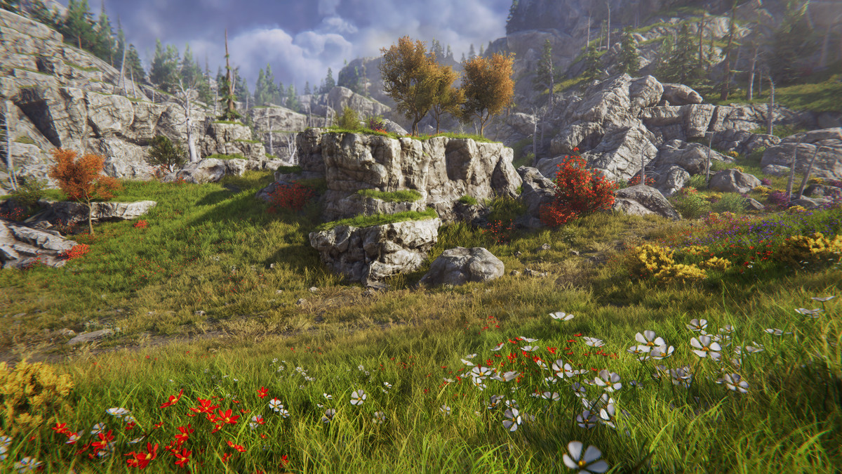 Tobyfredson - Nature Collection