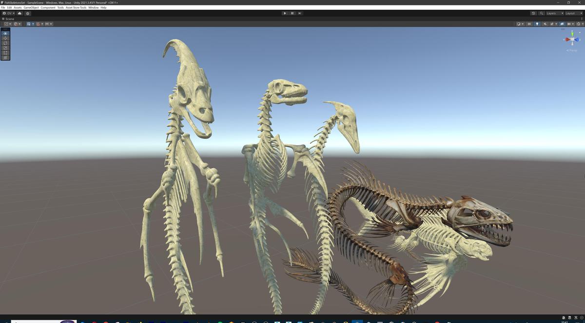 Fish and Underwater Creatures Skeleton Collection – Marine Bone 3D Asset Pack