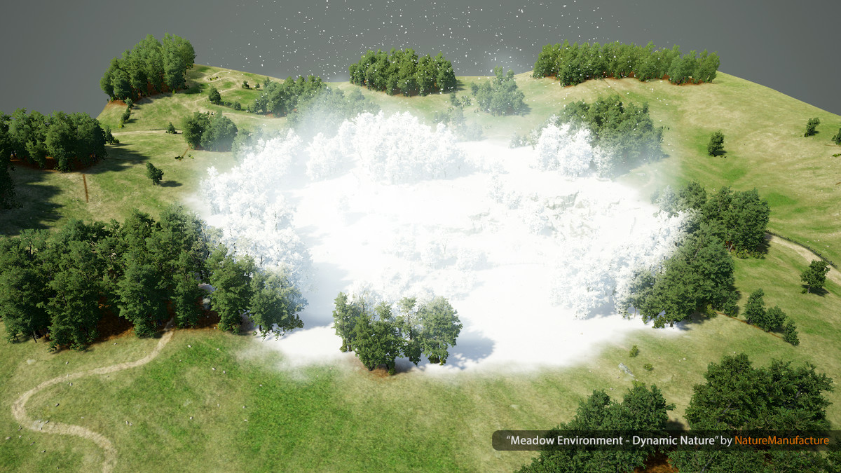 Dynamic Radial Masks²