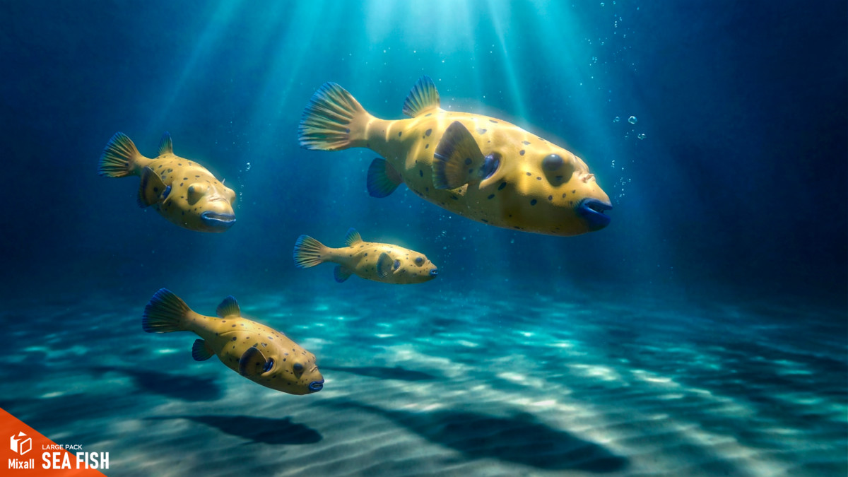 Sea fish - large pack